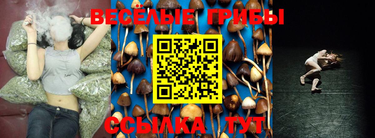 Галлюциногенные грибы прущие грибы Печора