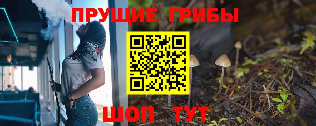закладки  Псилоцибиновые грибы GOLDEN TEACHER  Псилоцибиновые грибы Cubensis  Вход с VPN  Печора 